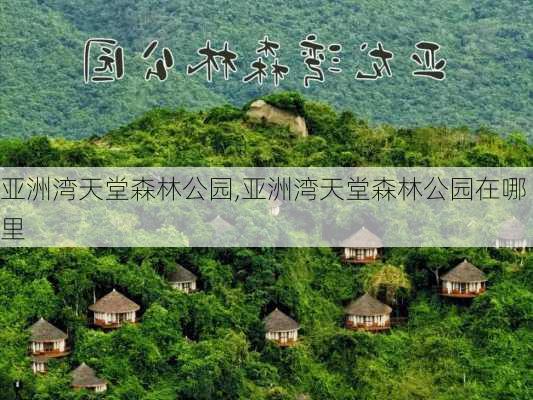 亚洲湾天堂森林公园,亚洲湾天堂森林公园在哪里-第2张图片-呼呼旅行网