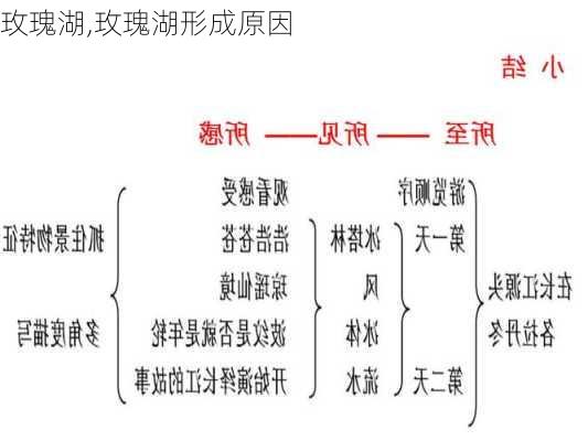 玫瑰湖,玫瑰湖形成原因-第1张图片-呼呼旅行网