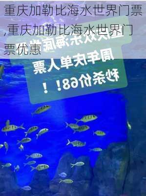 重庆加勒比海水世界门票,重庆加勒比海水世界门票优惠-第2张图片-呼呼旅行网