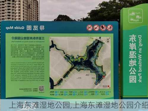 上海东滩湿地公园,上海东滩湿地公园介绍-第3张图片-呼呼旅行网