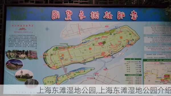 上海东滩湿地公园,上海东滩湿地公园介绍-第2张图片-呼呼旅行网