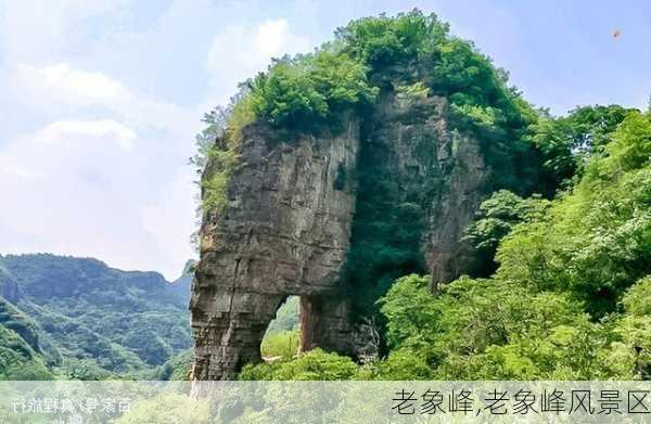 老象峰,老象峰风景区-第3张图片-呼呼旅行网