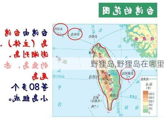 野狸岛,野狸岛在哪里-第2张图片-呼呼旅行网