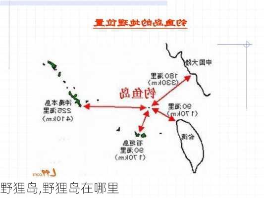 野狸岛,野狸岛在哪里-第3张图片-呼呼旅行网