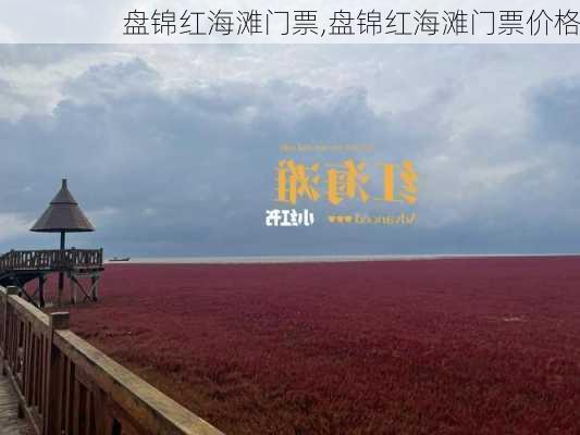 盘锦红海滩门票,盘锦红海滩门票价格-第2张图片-呼呼旅行网