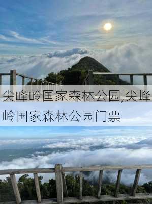 尖峰岭国家森林公园,尖峰岭国家森林公园门票-第3张图片-呼呼旅行网