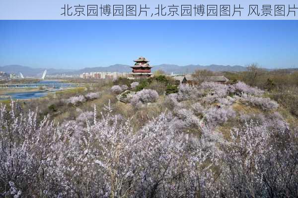 北京园博园图片,北京园博园图片 风景图片-第1张图片-呼呼旅行网