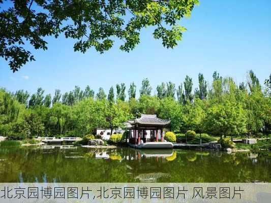 北京园博园图片,北京园博园图片 风景图片-第3张图片-呼呼旅行网