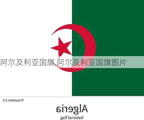 阿尔及利亚国旗,阿尔及利亚国旗图片-第2张图片-呼呼旅行网