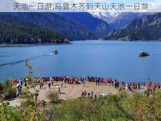 天池一日游,乌鲁木齐到天山天池一日游-第2张图片-呼呼旅行网