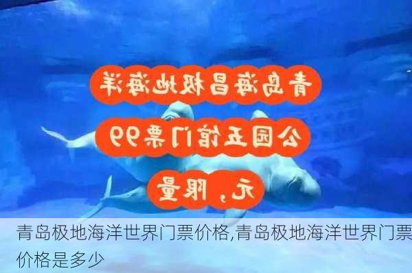 青岛极地海洋世界门票价格,青岛极地海洋世界门票价格是多少-第1张图片-呼呼旅行网