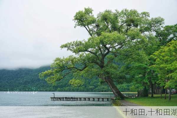 十和田,十和田湖-第3张图片-呼呼旅行网