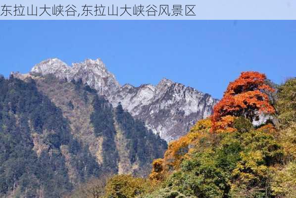 东拉山大峡谷,东拉山大峡谷风景区-第2张图片-呼呼旅行网