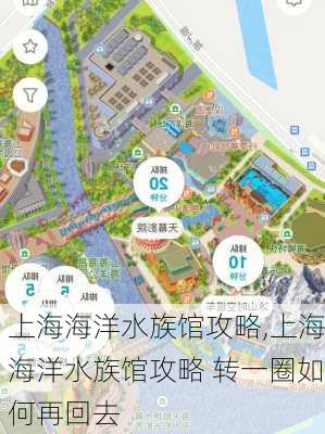 上海海洋水族馆攻略,上海海洋水族馆攻略 转一圈如何再回去-第3张图片-呼呼旅行网