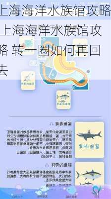 上海海洋水族馆攻略,上海海洋水族馆攻略 转一圈如何再回去-第1张图片-呼呼旅行网