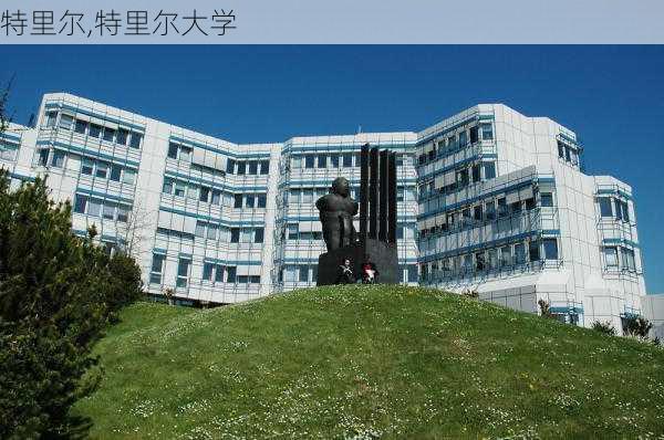 特里尔,特里尔大学-第2张图片-呼呼旅行网