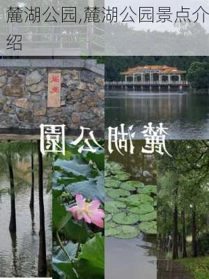 麓湖公园,麓湖公园景点介绍-第3张图片-呼呼旅行网