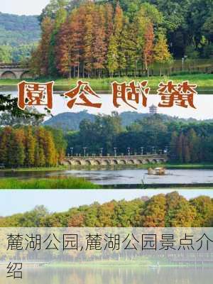 麓湖公园,麓湖公园景点介绍-第2张图片-呼呼旅行网