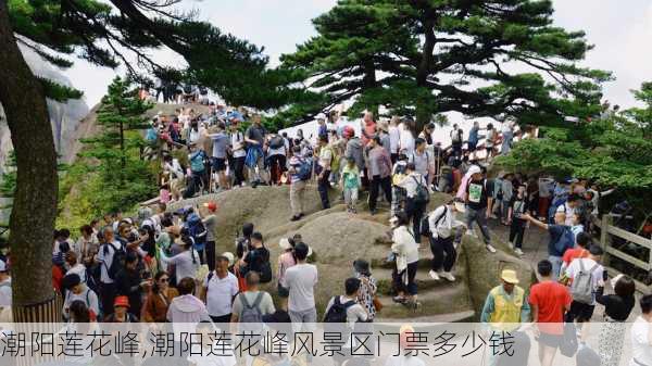 潮阳莲花峰,潮阳莲花峰风景区门票多少钱-第3张图片-呼呼旅行网