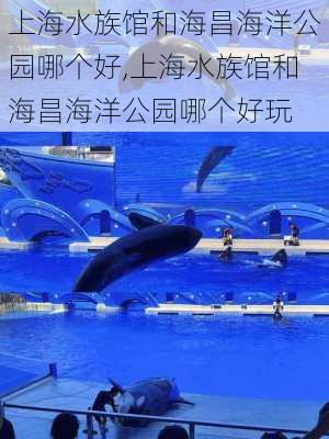 上海水族馆和海昌海洋公园哪个好,上海水族馆和海昌海洋公园哪个好玩-第1张图片-呼呼旅行网