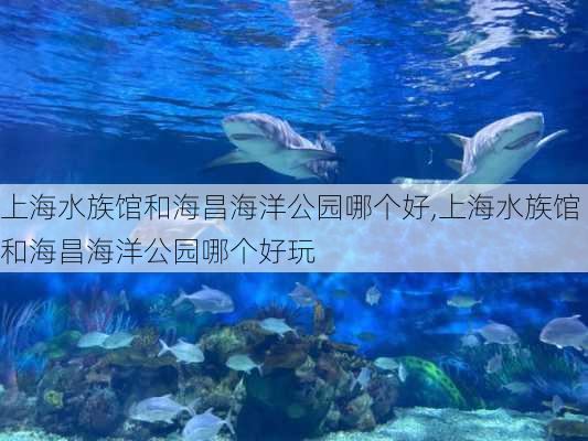 上海水族馆和海昌海洋公园哪个好,上海水族馆和海昌海洋公园哪个好玩-第2张图片-呼呼旅行网