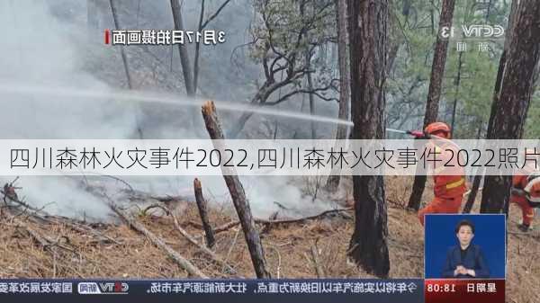 四川森林火灾事件2022,四川森林火灾事件2022照片-第2张图片-呼呼旅行网