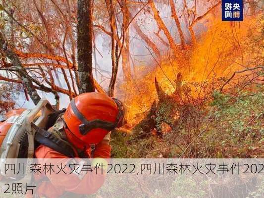 四川森林火灾事件2022,四川森林火灾事件2022照片