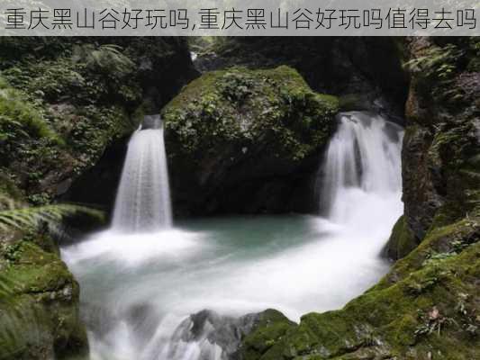 重庆黑山谷好玩吗,重庆黑山谷好玩吗值得去吗-第3张图片-呼呼旅行网