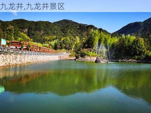 九龙井,九龙井景区-第1张图片-呼呼旅行网