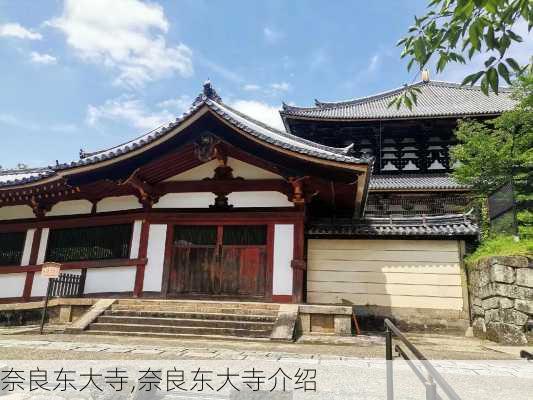 奈良东大寺,奈良东大寺介绍