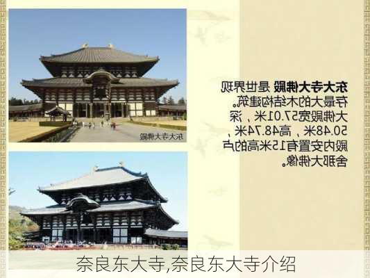 奈良东大寺,奈良东大寺介绍-第3张图片-呼呼旅行网