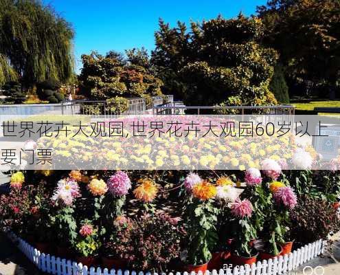 世界花卉大观园,世界花卉大观园60岁以上要门票-第2张图片-呼呼旅行网