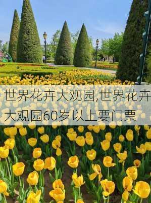 世界花卉大观园,世界花卉大观园60岁以上要门票-第3张图片-呼呼旅行网