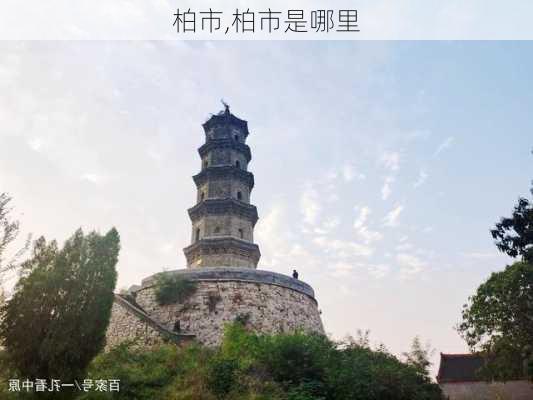 柏市,柏市是哪里-第1张图片-呼呼旅行网