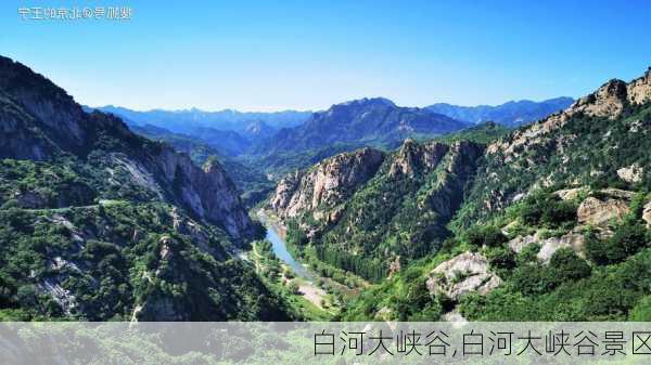 白河大峡谷,白河大峡谷景区-第1张图片-呼呼旅行网