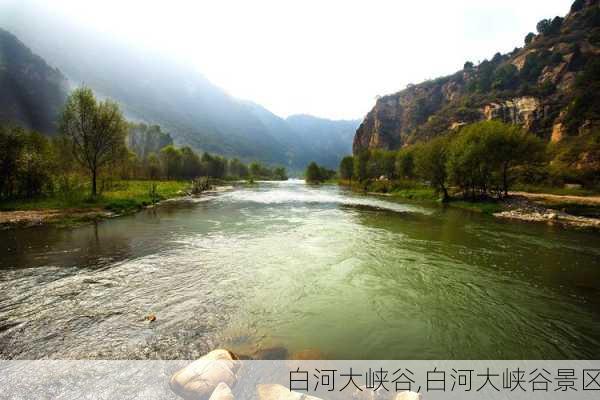 白河大峡谷,白河大峡谷景区-第3张图片-呼呼旅行网