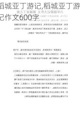 稻城亚丁游记,稻城亚丁游记作文600字-第2张图片-呼呼旅行网