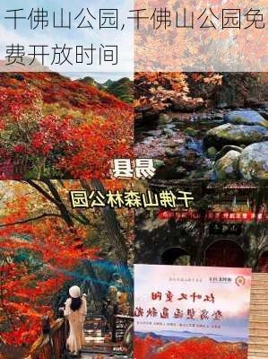 千佛山公园,千佛山公园免费开放时间-第2张图片-呼呼旅行网