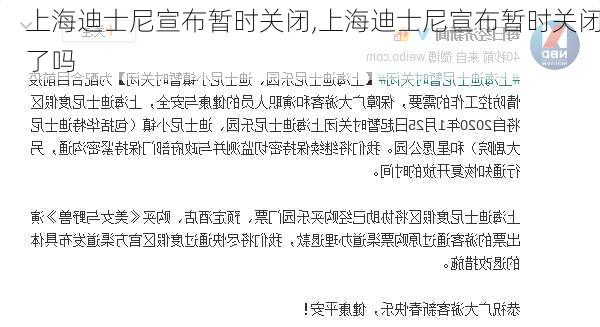 上海迪士尼宣布暂时关闭,上海迪士尼宣布暂时关闭了吗-第3张图片-呼呼旅行网