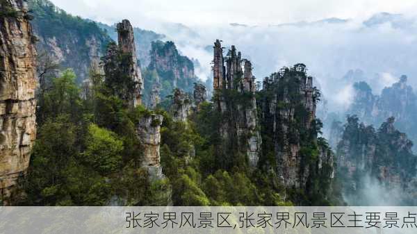 张家界风景区,张家界风景区主要景点-第1张图片-呼呼旅行网