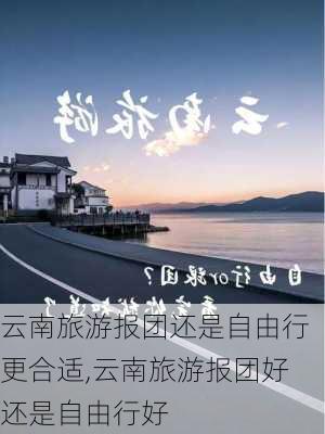 云南旅游报团还是自由行更合适,云南旅游报团好还是自由行好-第1张图片-呼呼旅行网