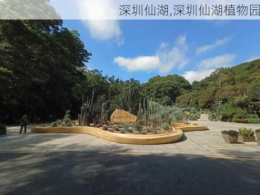 深圳仙湖,深圳仙湖植物园-第1张图片-呼呼旅行网