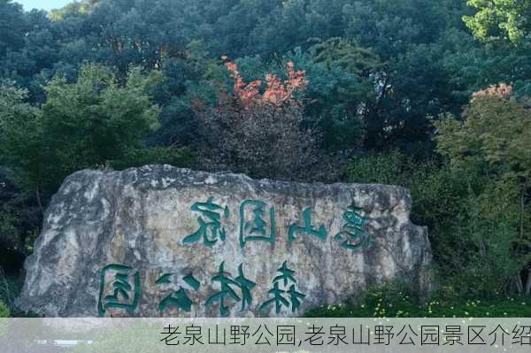 老泉山野公园,老泉山野公园景区介绍-第2张图片-呼呼旅行网