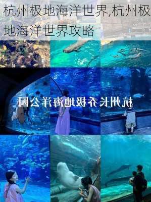 杭州极地海洋世界,杭州极地海洋世界攻略-第2张图片-呼呼旅行网