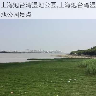 上海炮台湾湿地公园,上海炮台湾湿地公园景点-第3张图片-呼呼旅行网