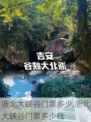 浙北大峡谷门票多少,浙北大峡谷门票多少钱-第3张图片-呼呼旅行网