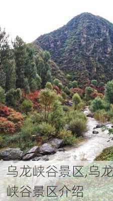 乌龙峡谷景区,乌龙峡谷景区介绍-第3张图片-呼呼旅行网