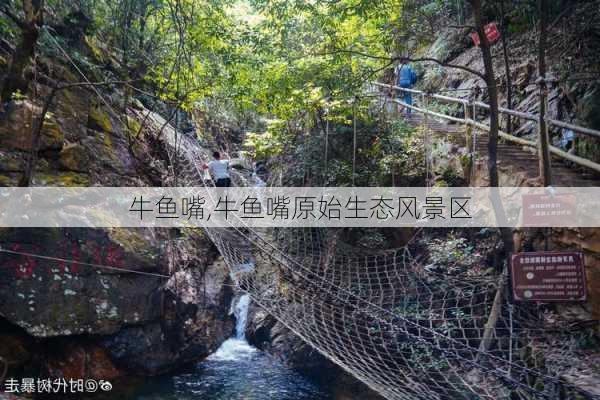 牛鱼嘴,牛鱼嘴原始生态风景区-第2张图片-呼呼旅行网