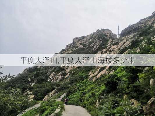 平度大泽山,平度大泽山海拔多少米-第1张图片-呼呼旅行网