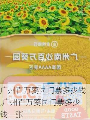 广州百万葵园门票多少钱,广州百万葵园门票多少钱一张-第1张图片-呼呼旅行网